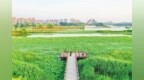 聊城东昌湖景观升级，市民休闲更惬意