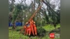 台风“蝴蝶”致树木倒伏，洋浦消防20分钟清除路障