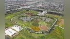 中药残渣变肥料戈壁长花海　兰州新区解锁绿色密码