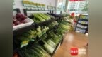 海口市菜篮子集团储备约4335吨菜品应对台风“蝴蝶”