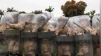 美军证实海军陆战队首次在洛杉矶拘留平民