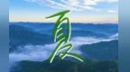 Shanxi.Summer丨山西・夏木阴阴