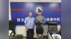 西乡网格员巡查拾包 十余证件完璧归赵