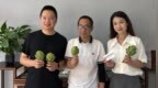 饕餮星期五|“蔬菜之王”洋蓟花的佛山餐桌故事