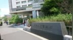 “500万日元移民日本”时代将一去不复返
