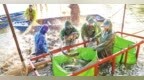 都昌县：夏季捕鱼忙（图）