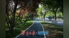 泉水绿道贯穿城区 市民尽享都市慢行
