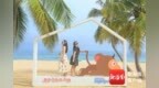 陵水呆呆岛夏日免票福利来袭 50岁以上及亲子家庭速来