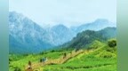 祁连山国家公园夏日风景别样美