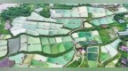 南丰县：小甲鱼变身富民强县“金产业”（图）