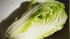 韩国“金菜危机”今年或卷土重来 去年一棵白菜售价曾超50元