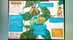 @宁波青少年，2025年自然笔记大赛启动征集，等你来投稿！