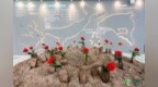 走进深能环保、OPPO、美团，看湾区如何做“低碳样本”