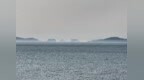 蓬莱海域再现海滋奇观