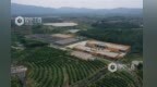 “脐橙之乡”信丰县缘何能成为新质生产力培育的典型？