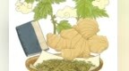 姜计就计　夏吃姜的六个养生法则