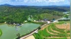 江门新增4个粤港澳大湾区“菜篮子”生产基地