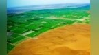 【丝路话语】三招破局　河西走廊风沙线上筑起绿色长城