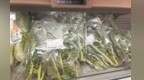 “羽衣甘蓝”成南昌减肥人士新宠 医生提醒：并非人人都适合食用