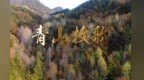 吕梁交城：青山牧歌