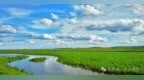 不负青山绿水 尽展生态画卷——黑河市生态环境保护工作成绩亮眼