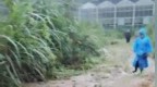湖南张家界一女子被洪水冲走失联，官方通报：已遇难