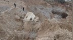 村民家林地遭盗挖砂石，报案10天后再被盗，当地：9名货车司机涉案
