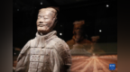 “兵马俑—陕西秦汉文明”展览亮相澳大利亚珀斯