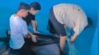 两头海豚搁浅 万宁爱心企业积极捐款接力救护