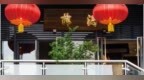 金梧桐丨薛涛 九眼桥店
