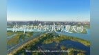 让世界听见哈夏