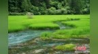 九寨沟风景如画引游人