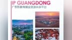 广东四大国际传播平台上线！重磅“推介官”亮相