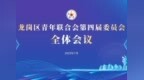 踔厉奋发开新局 砥砺青春展宏图 | 龙岗区青年联合会第四届委员会全体会议召开！