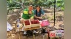 秦皇岛邮政公司：创新组合拳打通大樱桃从树尖到舌尖的“高速路”