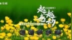 超越·感动——佳能全画幅专微摄影大赛（生动摄影季）最终评选