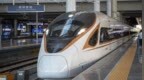 旅客在高铁进站时突然卧轨，官方通报