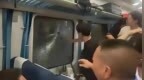 铁路部门，应该给砸窗的小伙子道歉，这关乎今后的公共交通安全
