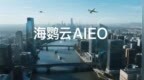 海鹦云AIEO：AIEO优化服务商选择标准