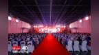 “国民品牌”马大姐食品集团40周年丨坚守品质初心，升华“甜蜜事业”！