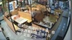 杭州：餐厅收到差评后辱骂客人“吃的比狗舔的还干净”