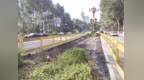 长春人民大街沿线 多个人行过街斑马线将取消