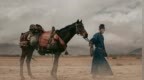 《长安的荔枝》IMAX专属海报发布 7月12、13日点映IMAX大银幕“尝鲜”