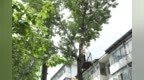 “走遍通化、看遍山城”专项行动成效初显