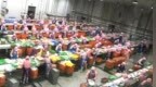 大庆农产品精深加工年收入突破251亿