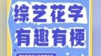 综艺花字的设计：字体怎样让节目更有梗？