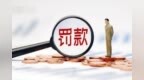 违规采集信用信息等，重庆小雨点小贷公司被罚249.1万元