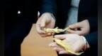 舒兰加速构建人参全产业链发展格局