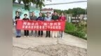 鳄韵泾川 “扬”梦兴乡——安徽科技学院实践团探访扬子鳄乡村