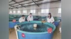 寒地渔歌：塔河县冷水鱼产业的破冰之路